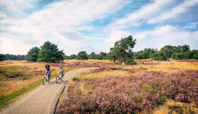 Sfeervol Chalet Op De Veluwe Putten Exterior foto